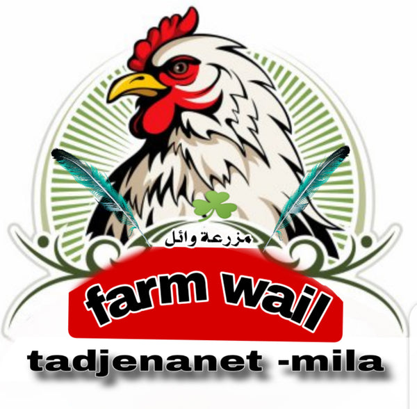 My Store